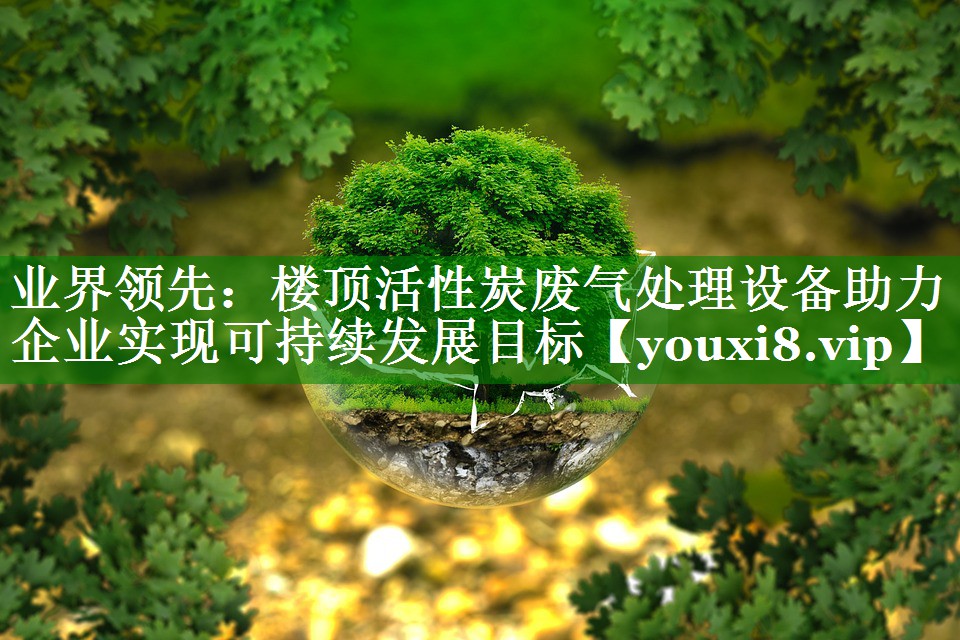 业界领先：楼顶活性炭废气处理设备助力企业实现可持续发展目标