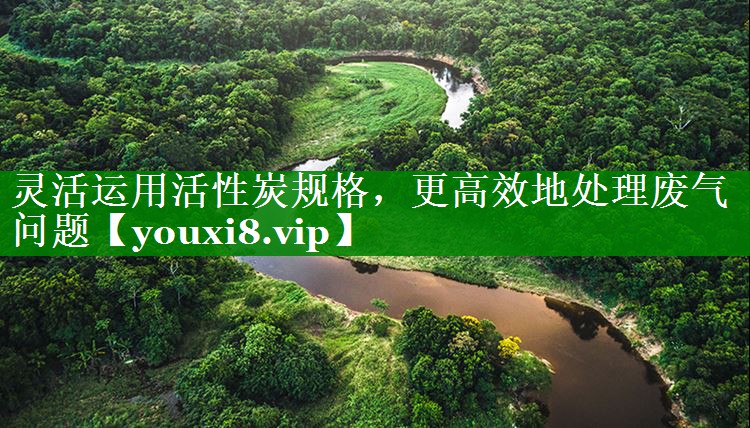灵活运用活性炭规格，更高效地处理废气问题