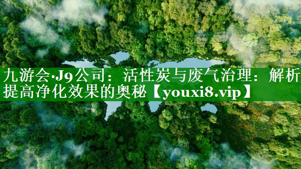 九游会·J9公司：活性炭与废气治理：解析提高净化效果的奥秘