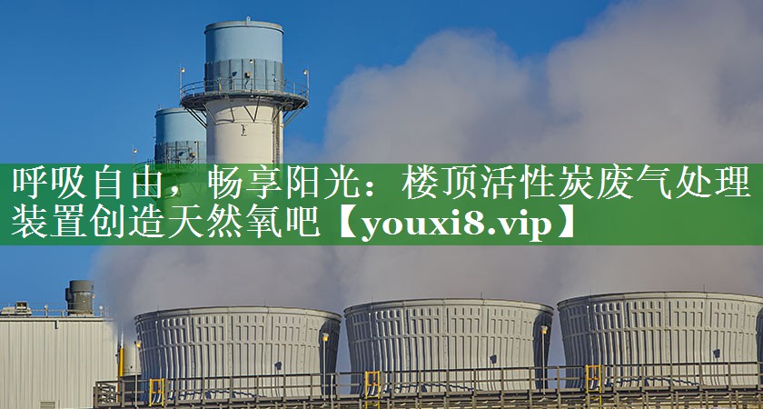 呼吸自由，畅享阳光：楼顶活性炭废气处理装置创造天然氧吧