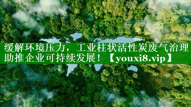 缓解环境压力，工业柱状活性炭废气治理助推企业可持续发展！