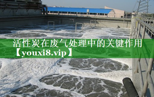 <strong>活性炭在废气处理中的关键作用</strong>