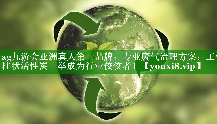 专业废气治理方案：工业柱状活性炭一举成为行业佼佼者！