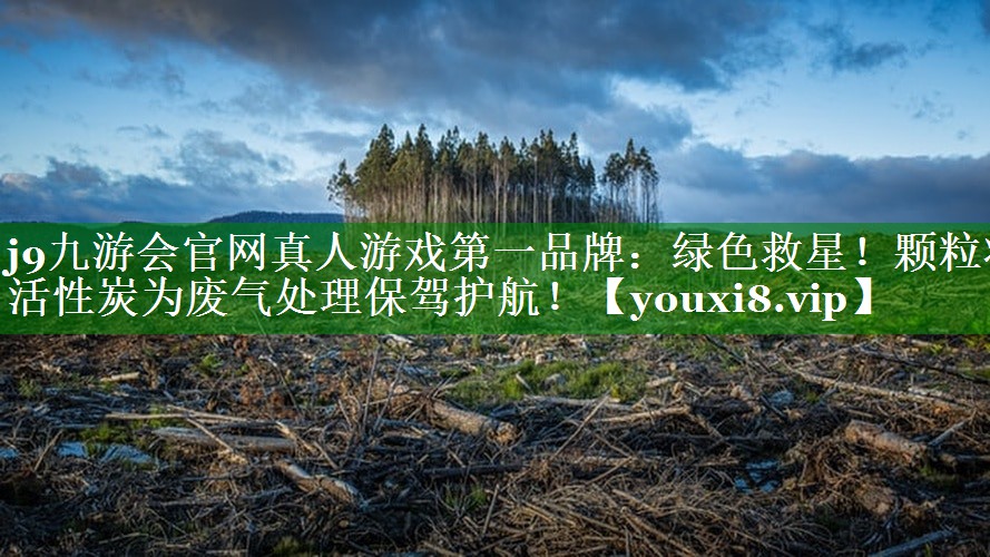 绿色救星！颗粒状活性炭为废气处理保驾护航！