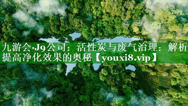 活性炭与废气治理：解析提高净化效果的奥秘