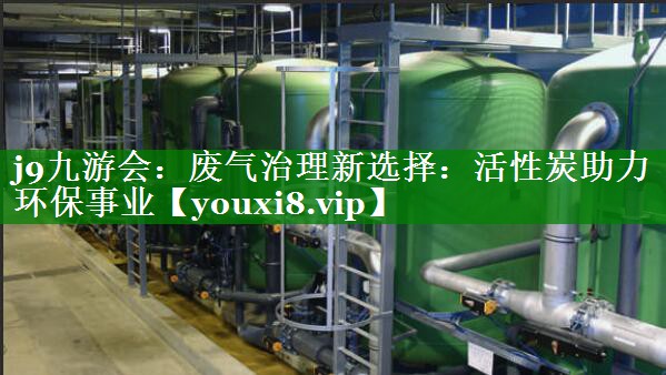 废气治理新选择：活性炭助力环保事业
