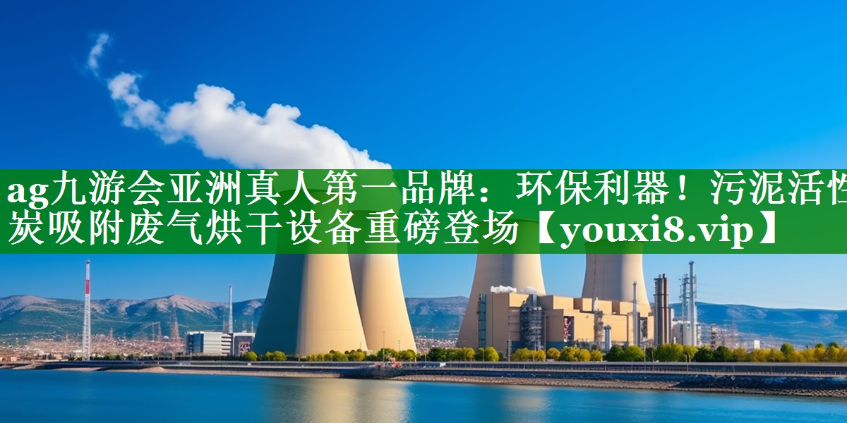 环保利器！污泥活性炭吸附废气烘干设备重磅登场