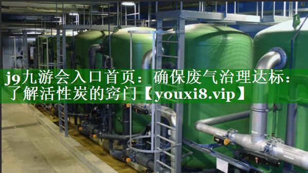 确保废气治理达标：了解活性炭的窍门