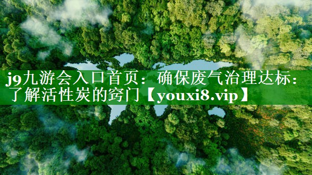 确保废气治理达标：了解活性炭的窍门