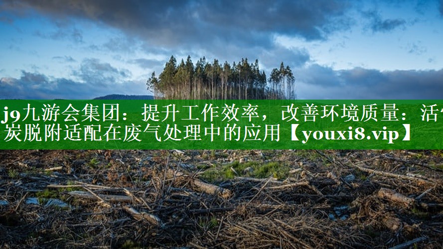 提升工作效率，改善环境质量：活性炭脱附适配在废气处理中的应用