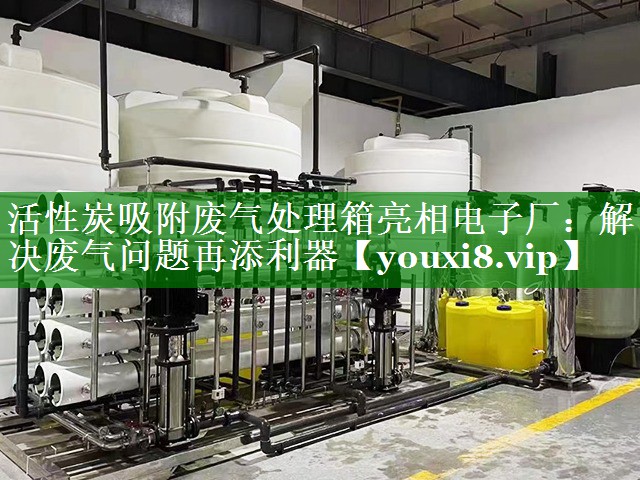 活性炭吸附废气处理箱亮相电子厂：解决废气问题再添利器