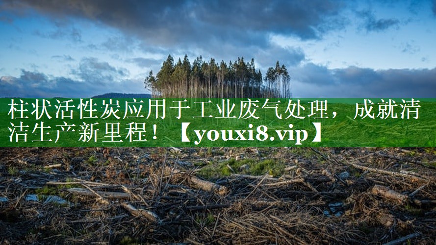 柱状活性炭应用于工业废气处理，成就清洁生产新里程！